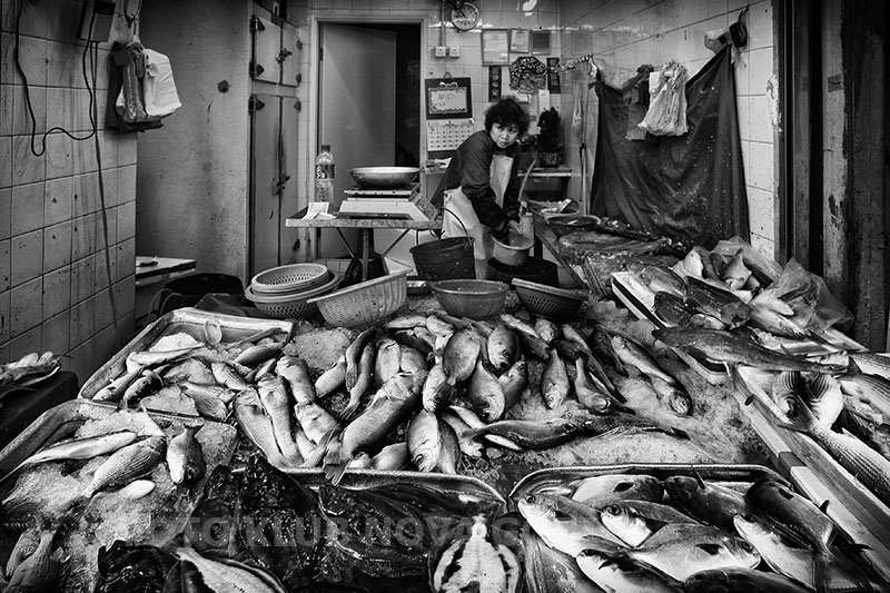 1 rasa milojevic ribarnica fish market