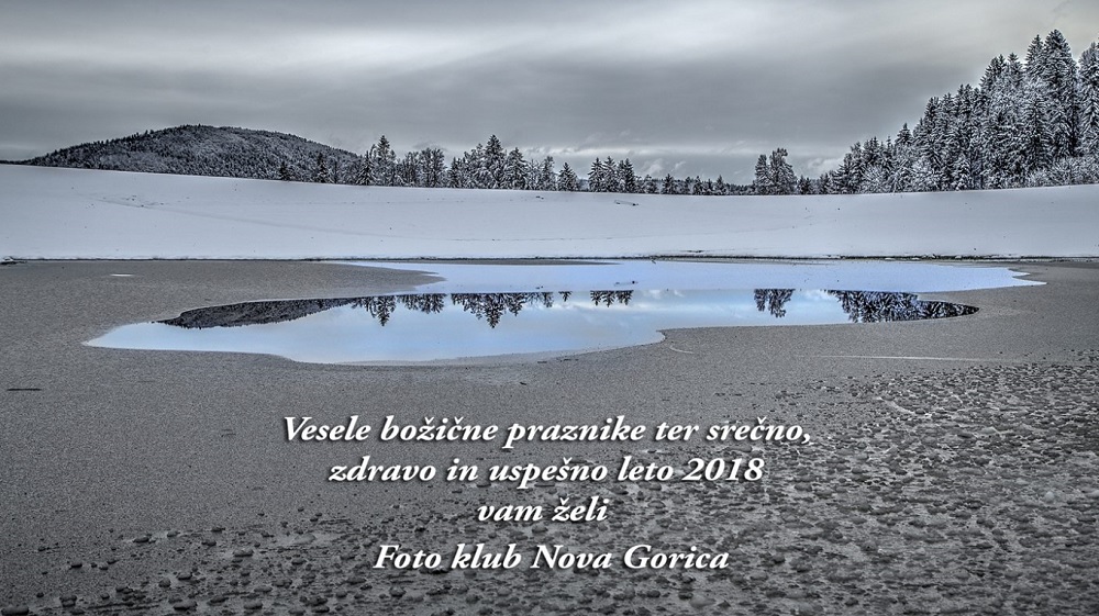 Brez naslova